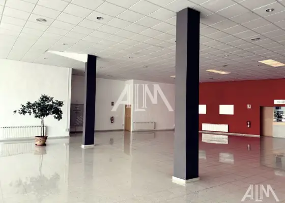 Alquiler Local Comercial Colegio Altagracia, Manzanares