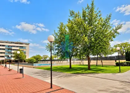 Apartamento en alquiler zona facultad de medicina en Albacete