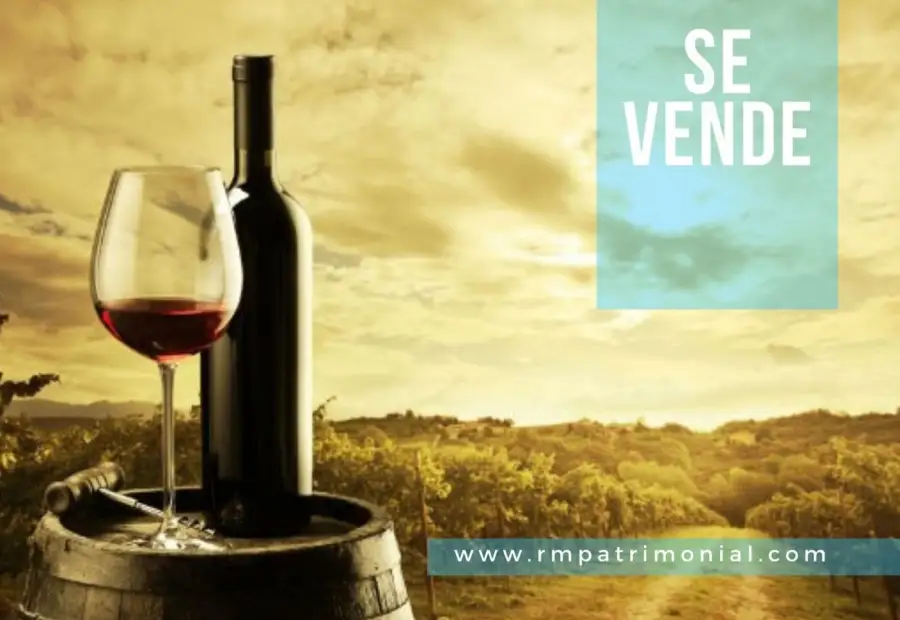Bodega de elaboración de vino en Venta en Bolaños de Calatrava