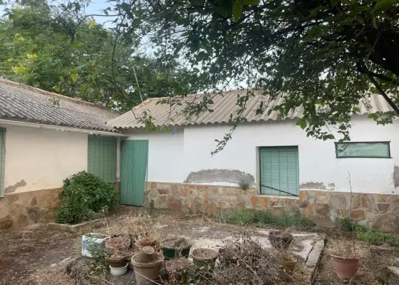 Casa en Argamasilla de Calatrava