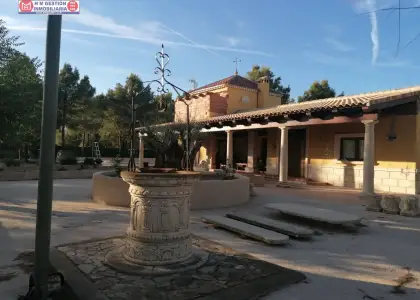 Casa en el campo sobre parcela de 30.000 metros con 400 olivos y casa en Ctra. Manzanares en Alcázar de San Juan