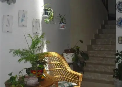 Casa en zona centro de Alcázar a 5 minutos de la Plaza de España, En planta baja.: Garaje para dos coches, 3 habitaciones, servicio, patio cubierto distribuidor, patio exterior de 50 m2 y cuarto de en Alcázar de San Juan