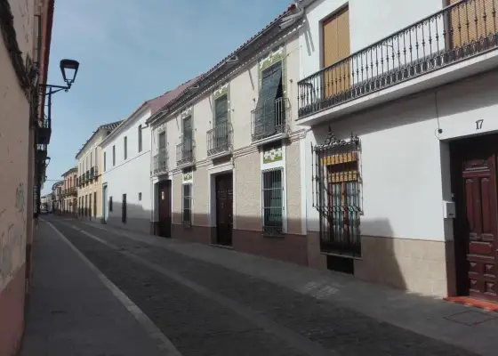 Casa unifamiliar en venta en Manzanares