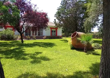 Chalet en Argamasilla de Calatrava en Argamasilla de Calatrava