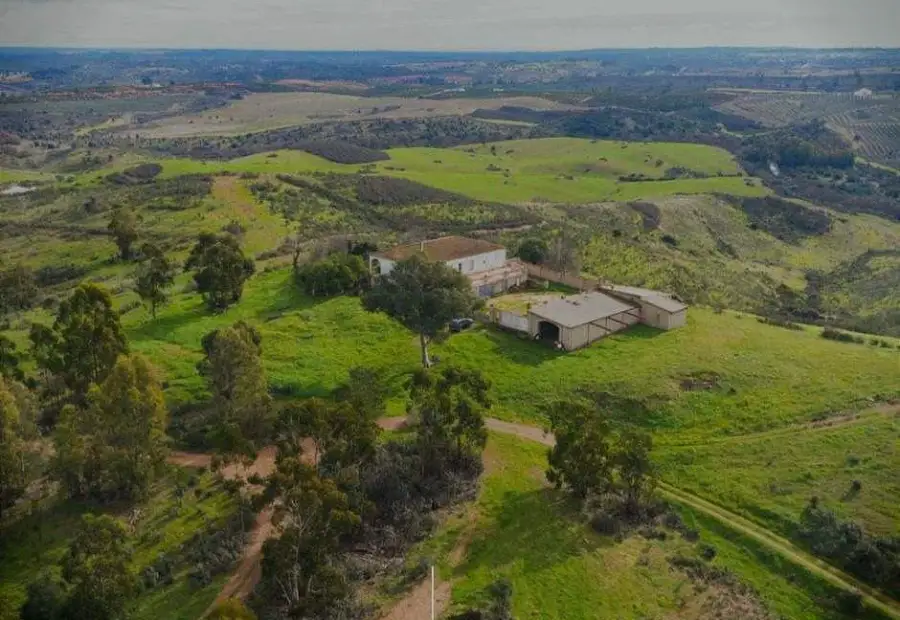 En venta finca con regadío, ganadera y con coto de caza en Ciudad Real en Corral de Calatrava