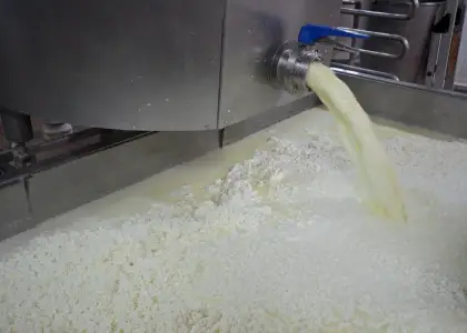 Fabrica de Queso Manchego en Venta en Ciudad Real