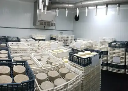 Fabrica de Queso Manchego en Venta en Ciudad Real
