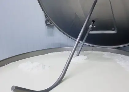 Fabrica de Queso Manchego en Venta en Ciudad Real