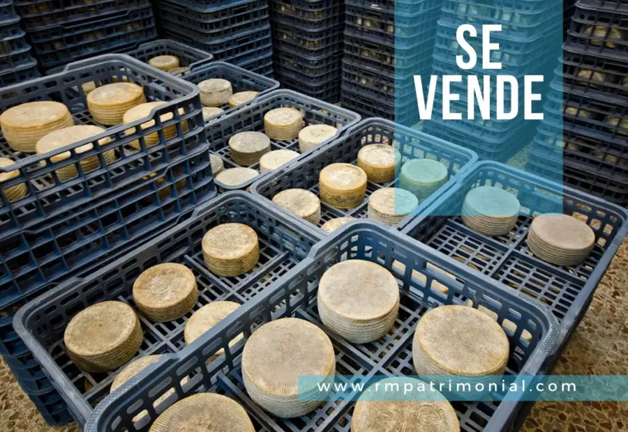 Fabrica de Queso Manchego en Venta en Ciudad Real