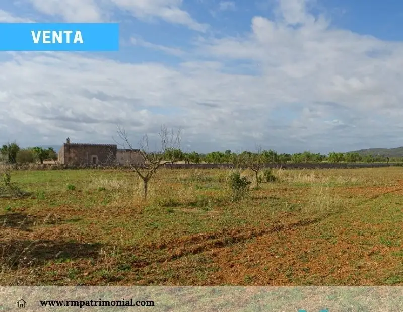 Finca de Monte y Labor - Pantano del Vicario. en Ciudad Real