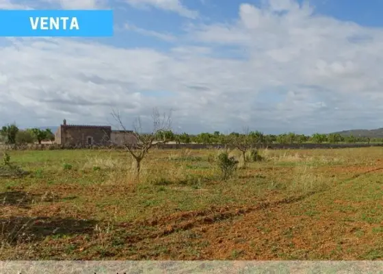Finca de Monte y Labor - Pantano del Vicario. en Ciudad Real