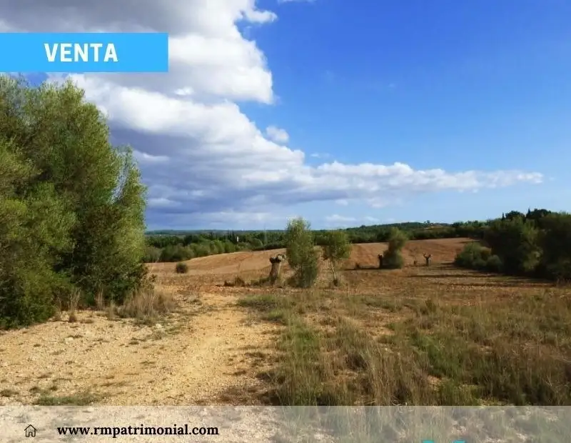 Finca Los Llanillos - Lagunas de Ruidera en Ruidera