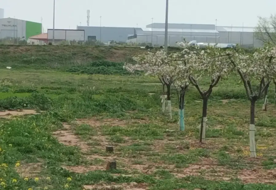 Finca rustica a 100 metros del polg. Industrial alces en Alcázar de San Juan