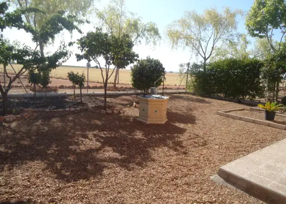 Finca rustica con casa de campo cerca de Manzanares
