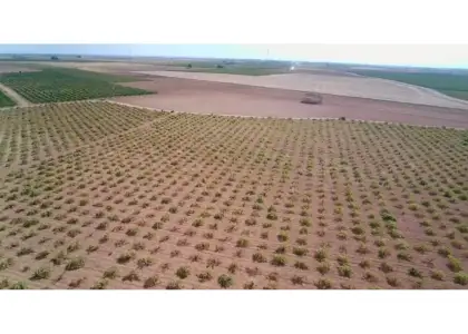 Finca rústica en venta en Manzanares en Manzanares