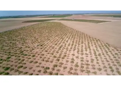 Finca rústica en venta en Manzanares en Manzanares