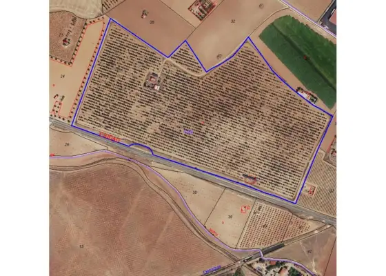 Finca rústica en venta en Manzanares