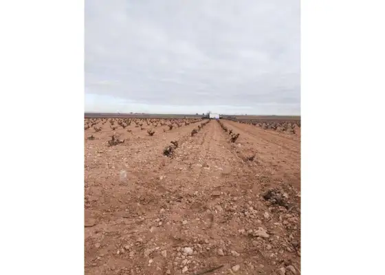 Finca rústica en venta en Manzanares