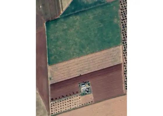 Finca rústica en venta en Manzanares