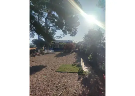Finca rústica en venta en Manzanares