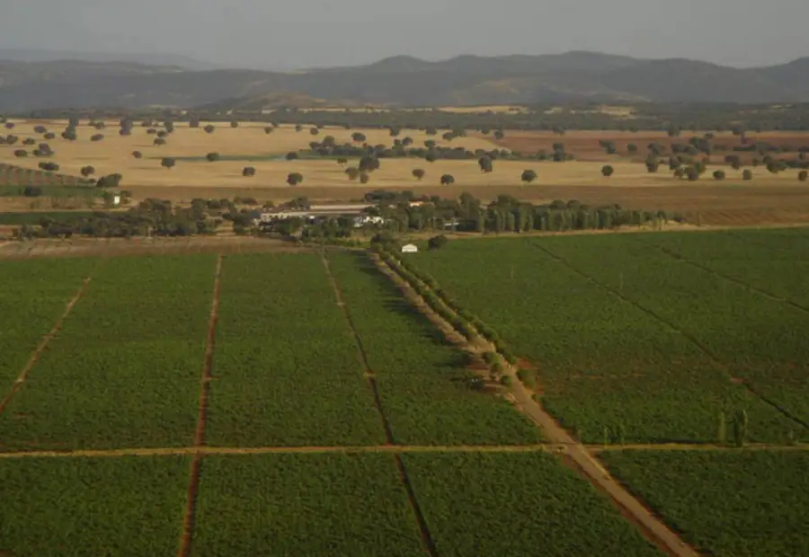 FINCA RUSTICA en venta en Valdepeñas