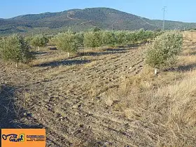 Finca Rústica Venta Aldequemada, Aldeaquemada en Aldeaquemada