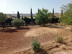 Finca Rústica Venta Almedina, Almedina en Almedina