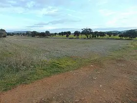 Finca Rústica Venta Bazán, Viso Del Marques en Viso del Marqués
