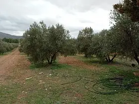 Finca Rústica Venta Carretara del Cristo, Valdepeñas en Valdepeñas