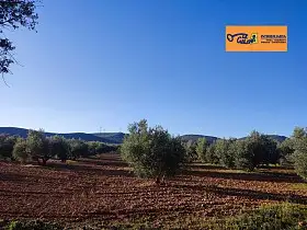 Finca Rústica Venta Carretara del Cristo, Valdepeñas