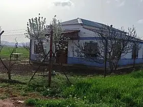 Finca Rústica Venta Carretera Daimiel, Valdepeñas en Valdepeñas