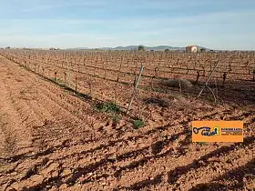 Finca Rústica Venta Carretera Daimiel, Valdepeñas en Valdepeñas