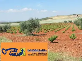Finca Rústica Venta Carretera Infantes, Valdepeñas en Valdepeñas