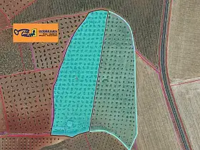 Finca Rústica Venta Carretera Torre Nueva, Valdepeñas en Valdepeñas