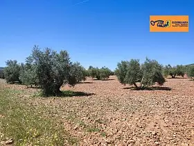 Finca Rústica Venta Carretera Torre Nueva, Valdepeñas en Valdepeñas