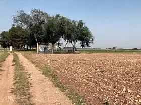 Finca Rústica Venta Membrilla, Membrilla en Membrilla