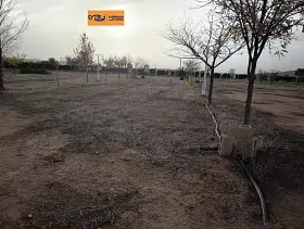 Finca Rústica Venta Nacional - IV, Valdepeñas en Valdepeñas