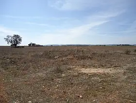 Finca Rústica Venta Periferia, Manzanares en Manzanares