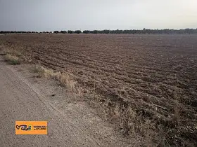 Finca Rústica Venta Valdepeñas, Valdepeñas en Valdepeñas