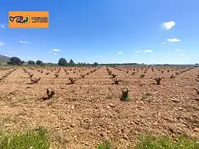 Finca Rústica Venta Valdepeñas, Valdepeñas