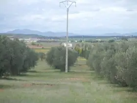 Finca Venta Periferia, Ciudad Real en Ciudad Real
