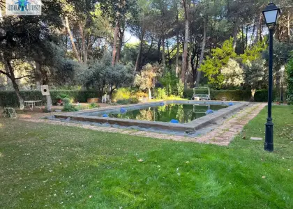 H001.- espectacular parcela en pinares del jucar en Albacete