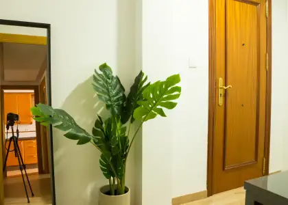 Habitación en piso compartido en valència en Valencia