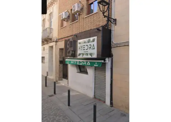 Local comercial en venta en Manzanares en Manzanares