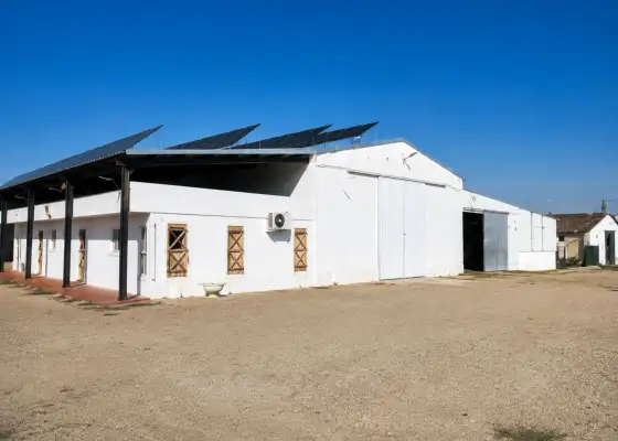 Nave En Alquiler tomelloso, Tomelloso