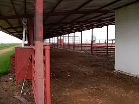 Otros Venta Daimiel, Daimiel en Daimiel