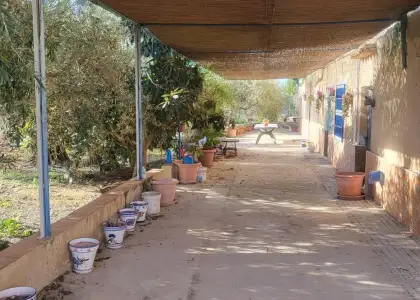 Parcela en venta zona hellin en Hellín