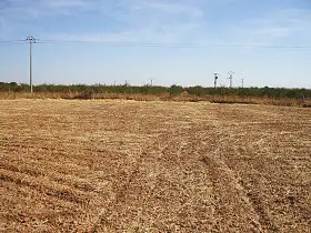 Parcela Rústica Venta Pozuelo De Calatrava, Pozuelo De Calatrava en Pozuelo de Calatrava