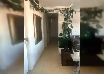 Se alquila habitación en piso de 3 dormitorios en alquiler en Alicante en Alicante (Alacant)