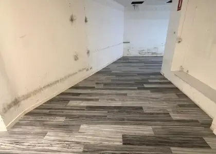 Se alquila local comercial en zona centro en Albacete